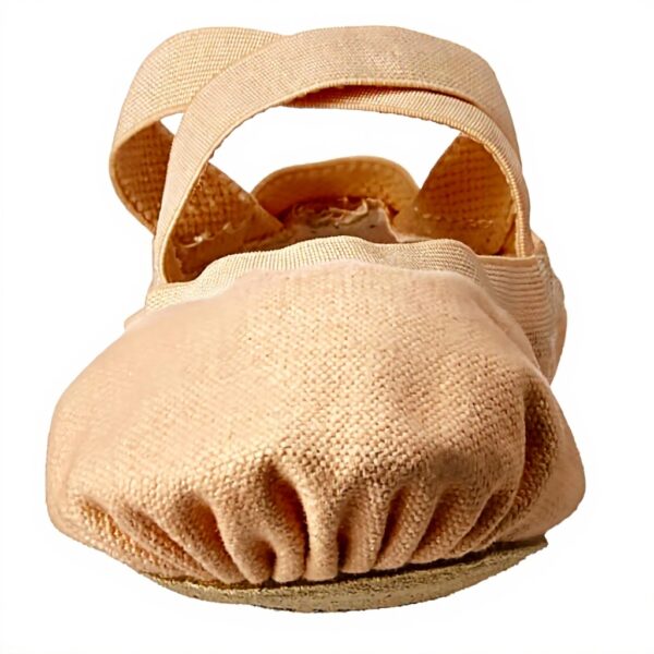 Chaussures de danse classique Bloch Femme Pro Elastic