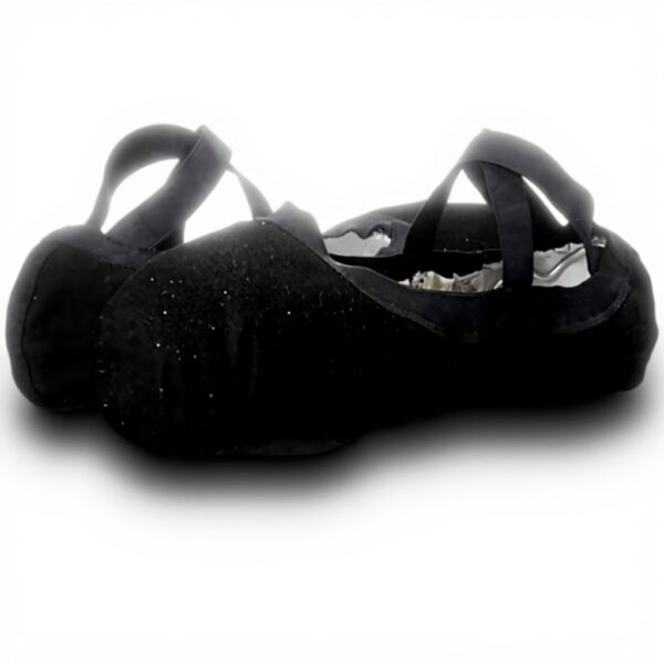 Chaussures de danse classique Bloch Femme Pro Elastic Noir