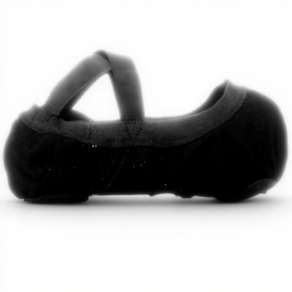 Chaussures de danse classique Bloch Femme Pro Elastic Noir