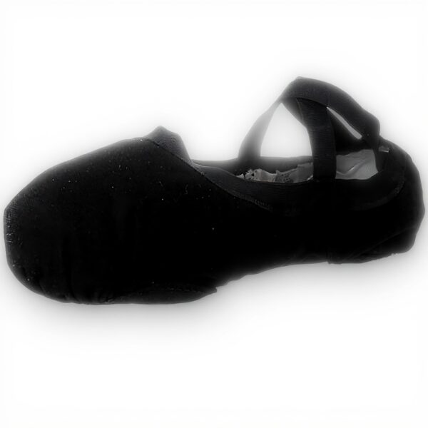 Chaussures de danse classique Bloch Femme Pro Elastic Noir