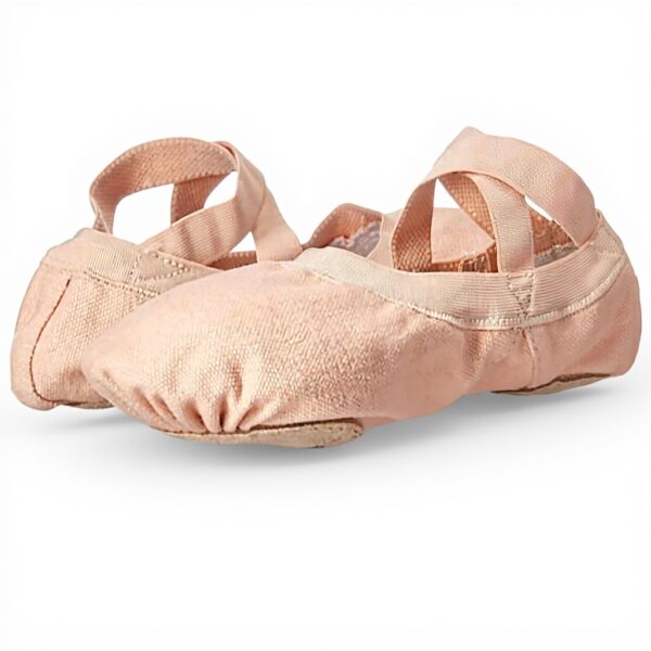 Chaussures de danse classique Bloch Femme Pro Elastic Rose