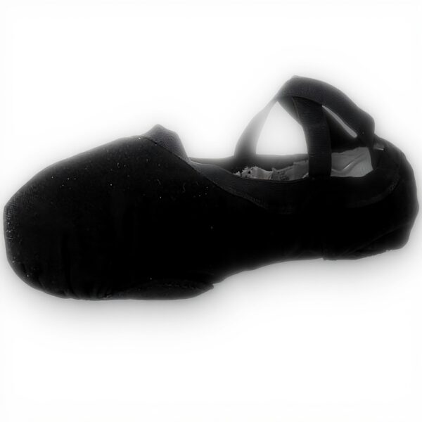 Chaussures de danse classique Bloch Femme Pro Elastic Noir