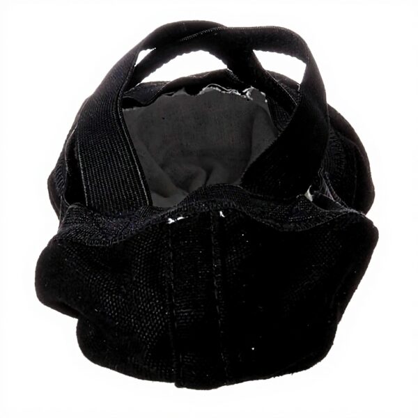 Chaussures de danse classique Bloch Femme Pro Elastic Noir