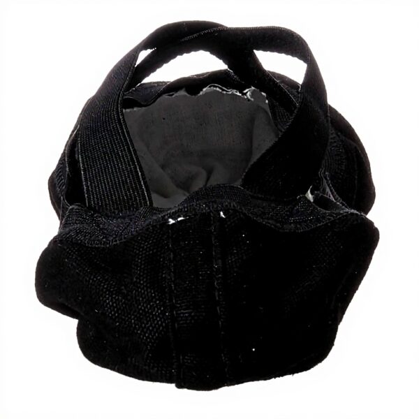 Chaussures de danse classique Bloch Femme Pro Elastic Noir