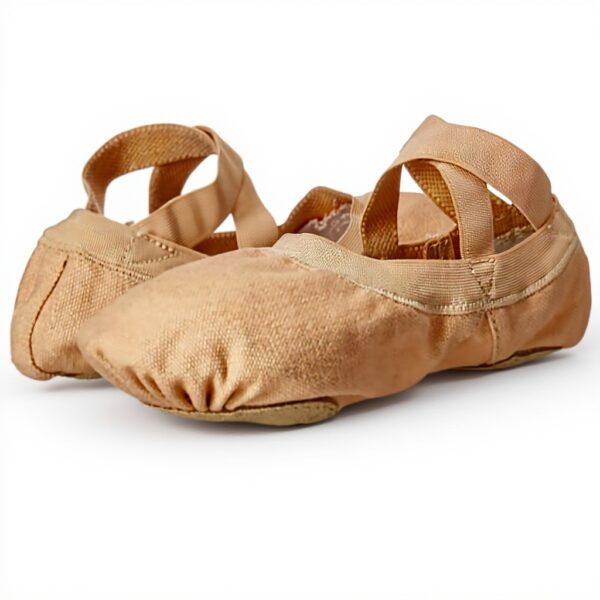 Chaussures Danse Bloch Pro Elastic Femme Jazz Moderne Rose