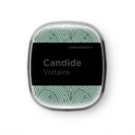 Candide Voltaire Roman Littérature Critique Essai