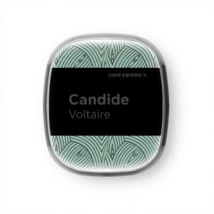 Candide Voltaire Roman Littérature Critique Essai