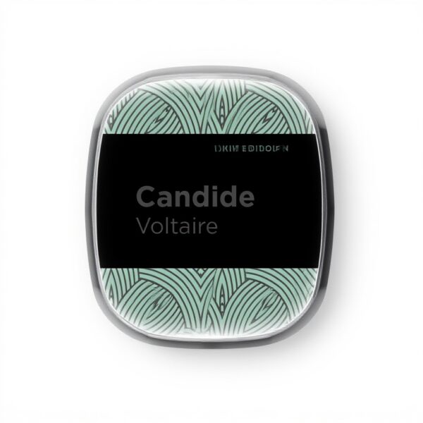 Candide Voltaire Roman Littérature Critique Essai