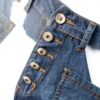 Pantalon femme simili cuir confortable grande taille bleu-1